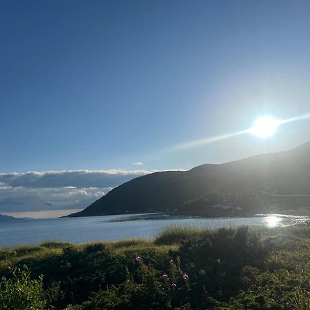Evenes Artic Glamping Hotell Evenesmarkja Exteriör bild