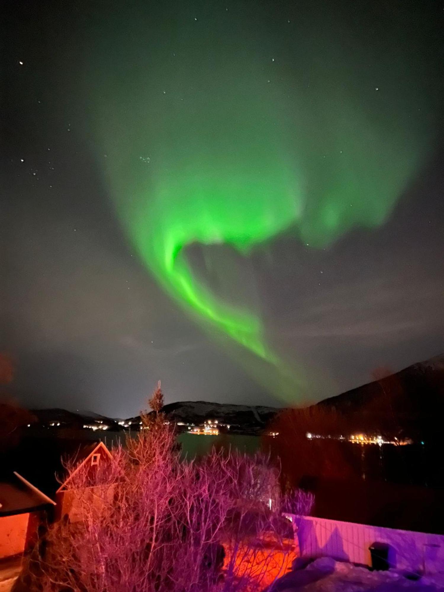 Evenes Artic Glamping Hotell Evenesmarkja Exteriör bild
