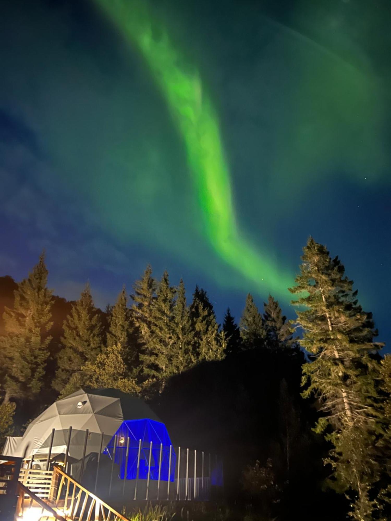 Evenes Artic Glamping Hotell Evenesmarkja Exteriör bild