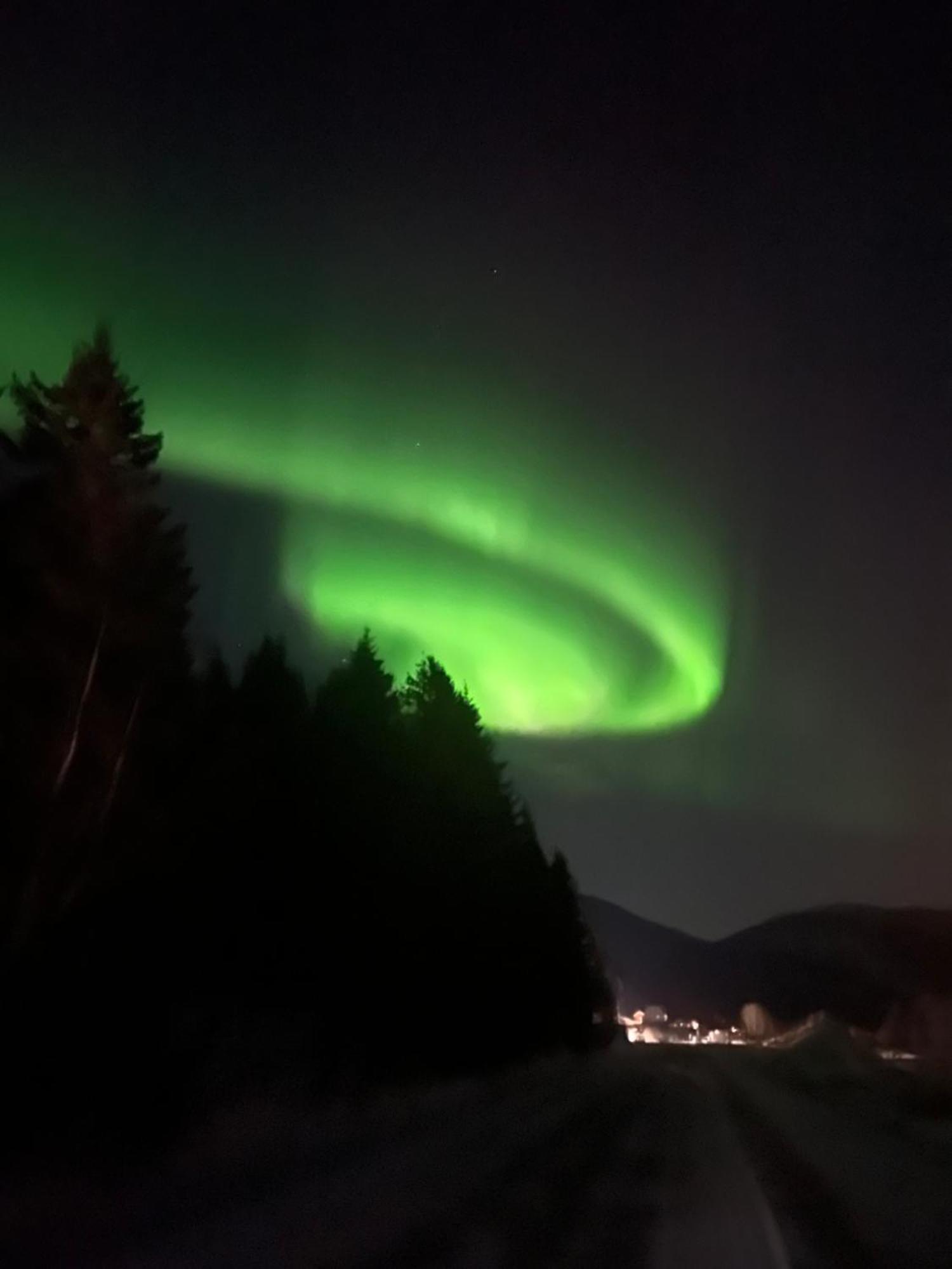 Evenes Artic Glamping Hotell Evenesmarkja Exteriör bild